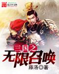 三国之无限召唤 加料